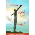 Does My Soul Look Big In This? By Rosemary Lain-Priestley